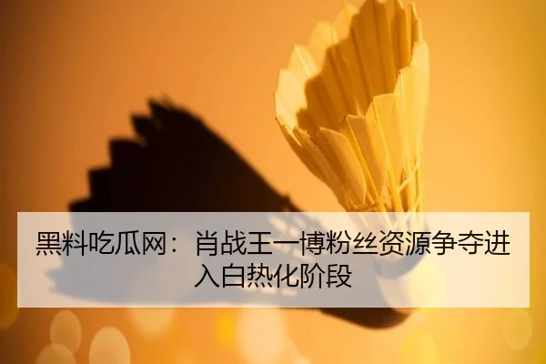 黑料吃瓜网：肖战王一博粉丝资源争夺进入白热化阶段